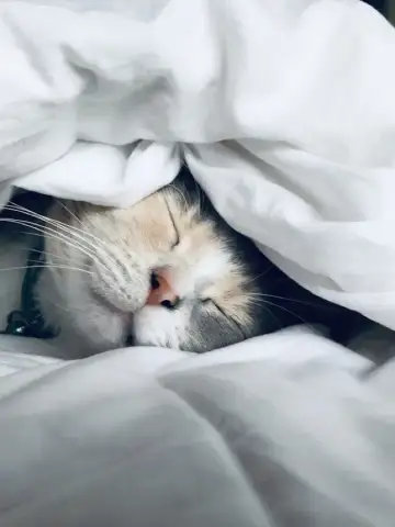 The Science of Sleep