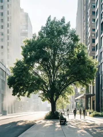 Why Cities Need Trees